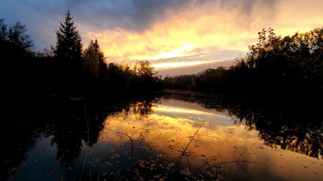 etang